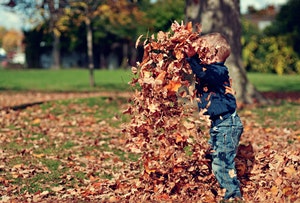 Photo of small boy throwing fall leaves in the air