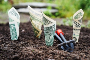 Photo of dollar bills emerging from dirt with garden tool nearby